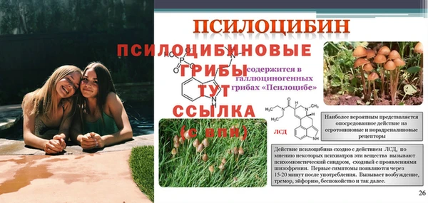 скорость mdpv Алзамай