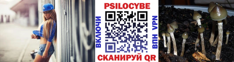 купить   Обоянь  Галлюциногенные грибы MAGIC MUSHROOMS 